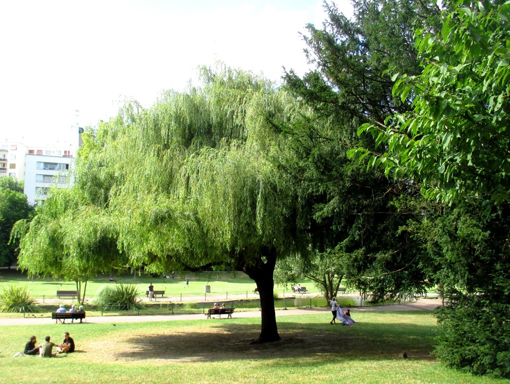 Parc à Vanves